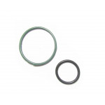 Комплект колец к фильтру ред. Tomasetto, Украина 