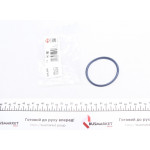 Прокладка колектора впускного Ford Transit 2.0TDCi/2.4TDCI 00- 