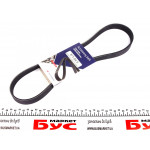 Ремінь генератора Citroen Jumper/Peugeot Boxer 2.0/2.2HDi 04- (-AC)/Opel Movano 2.5D (6PK873) 