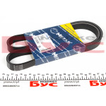 Ремінь генератора Renault Kangoo 1.5 dCi 03- (6PK1130) 