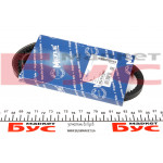 Ремінь генератора Renault/VW (10x685) 