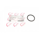 Прокладка патрубка інтеркулера ущільнююча Renault Kangoo 1.2 TCe 08- 