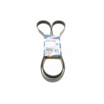 Ремінь генератора Ford Connect 1.8 TDCI 02-13 (6PK1720) 