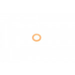 Шайба під форсунку Miini (R50/R53) 03-06 (12x20x1.5) 