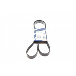 Ремінь генератора Renault Megane/Scenic 1.4 09-/Honda Accord/CR-V 2.2 i-CTDi 04- (7PK1785) 