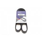 Ремінь генератора Nissan Juke 1.6i 10- 