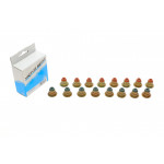 Сальник клапана (впуск/випуск) Ford Transit Connect 1.8 16V 02-13 (к-кт) 