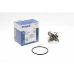 Термостат BMW 3 (E30/E36)/5 (E34/E39) 1.6-3.2 -00 (92°C) 