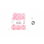 Ремкомплект форсунки Citroen Jumper/Jumpy/Peugeot Boxer/Expert 2.0/2.2 HDi 15- 