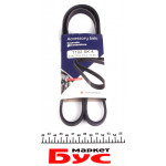 Ремінь генератора Citroen Jumper/Fiat Ducato 3.0HDi/D 06- 