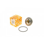 Термостат Chrysler Voyager III 90-08/Dodge Caravan 95-01/Ford Scorpio II 2.5TD 94-98 