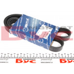 Ремінь генератора Fiat Ducato 2.2D/Ford Transit 2.2TDCI 06- (+AC) (6PK1670) 