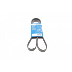 Ремінь генератора Volvo S40/V40 98-04 (5PK1325) 