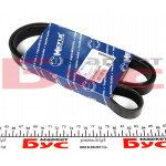 Ремінь генератора Ford Connect 1.8D/TDCi 02-/Opel Combo 1.2/1.4i -01 (6PK1460) 