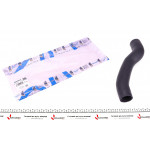 Патрубок інтеркулера (R) Ford Focus II 1.4/1.6/1.6TDCi 04-12 