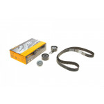 Комплект ГРМ Citroen Berlingo/Jumpy/Peugeot Partner 1.6HDI/Fiat Scudo 2.0D 08- (25.4x141z) 