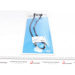 Прокладка кришки клапанів Citroen Jumper/Fiat Ducato/Peugeot Boxer 2.0 94- 