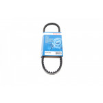 Ремінь генератора VW Corrado 1.8 88-93/Citroen CX 2.0 74-79 (10X660) 