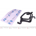 Патрубок радіатора Renault Megane II/Scenic II 1.9dCi (L) (к-кт) 