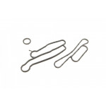 Прокладка радіатора масляного Ford Transit 2.2-2.4TDCi 06- (к-кт) 