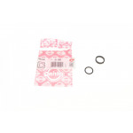 Прокладка радіатора масляного Fiat Croma/Grande Punto 1.9D Multijet 05- (к-кт) 