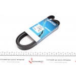 Ремінь генератора Ford Escort 1.4 90-99 