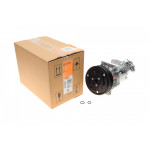 Компресор кондиціонера Dacia Dokker/Duster/Logan/Sandero 1.5 dCi/1.6 LPG 08- 