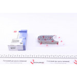 Вкладиші корінні Renault Clio 1.1/1.2i/Kangoo 1.4i (STD) (к-кт) = 6038050000 