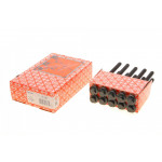 Болти головки (к-кт 10шт.) Opel Astra/Zafira/Vectra 2.0/2.2i 00- 