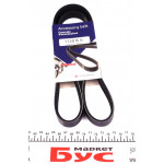 Ремінь генератора Renault Trafic 1.9dCi 01- (5PK1120) 