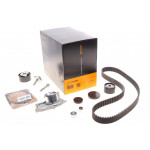 Комплект ГРМ + помпа Renault Clio III/Megane II/III/Scenic II/Trafic 2.0 16V 01- (27x126z) 