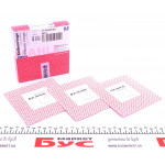 Кільця поршневі Renault Master/Opel Movano 2.3dCi 10- (85.00mm/STD) (2.45-2-2) 