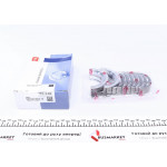 Вкладиші корінні Opel Omega B/Vectra A/Astra G 2.0 (+0.25) (к-кт) = 6035012500 