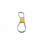 Ремінь генератора Land Rover Range Rover Sport 5.0 09-13 