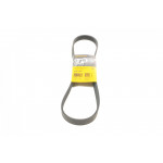 Ремінь генератора Peugeot Partner/307/508 02-/Citroen Berlingo/C2/C3/C4/C5 1.6 HDi 04- 