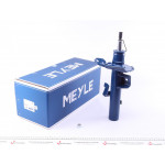 Амортизатор (передній) Ford Galaxy 06-15/Mondeo IV 07-15 (L) 