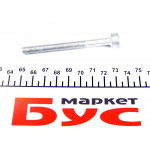 Болт кріплення форсунки MB Sprinter/Vito 2.2CDI OM651 (0704) 