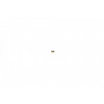 Шарик клапана форсунки (с-ма Common Rail) 