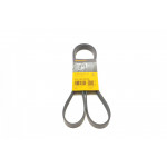 Ремінь генератора Ford Transit Connect/Focus/Fiesta 1.0 EcoBoost 13- 