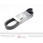 Ремінь генератора Scania K114/K124 97- 