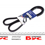 Ремінь генератора Isuzu D-Max 2.5D 02-12 (13x1450) 