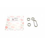 Прокладка радіатора масляного VW Caddy III/Crafter/T4/T5 2.0TDI 