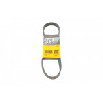 Ремінь генератора VW Caddy/Golf/Polo/Passat 1.0-1.4TSI 15-/Audi A3/Q3 1.0-1.4TFSI 13- 