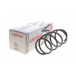 Пружина (передня) Renault Megane II 1.4 16V/1.5dCi/1.6/1.6 16V/Flex-Fuel 03- (седан/унив/накл.з.ч) 