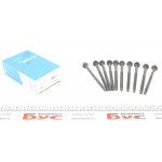 Болти головки (к-кт 10шт.) VW Caddy II/III 1.4i 