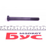 Болт важеля (переднього) VW Passat 96-05 (M10x1.5x106) 