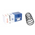 Пружина (передня) Renault Kangoo 1.6i/1.9D/dCi 98- 