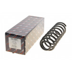 Пружина (задня) MB A-class (W168) 1.4-2.0/1.7CDI (M166/OM668) 97-04 (накл.зад.часть) 