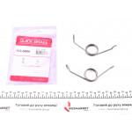 Пружини супорта (заднього) Audi A4/A6/VW Golf VI 94-13 (К-кт L+R) 