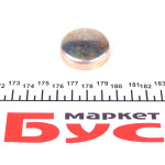 Заглушка блоку циліндрів BMW 3 (E36) 90-98 (d=36mm) 